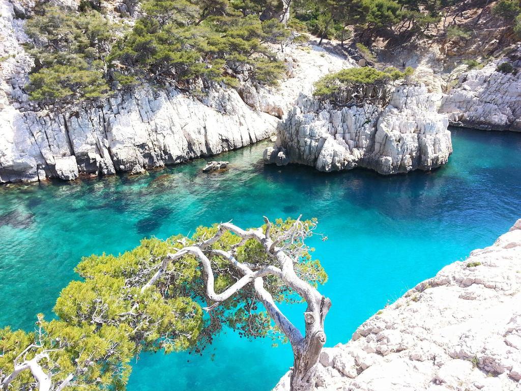 La Palmeraie Marseille Exteriér fotografie