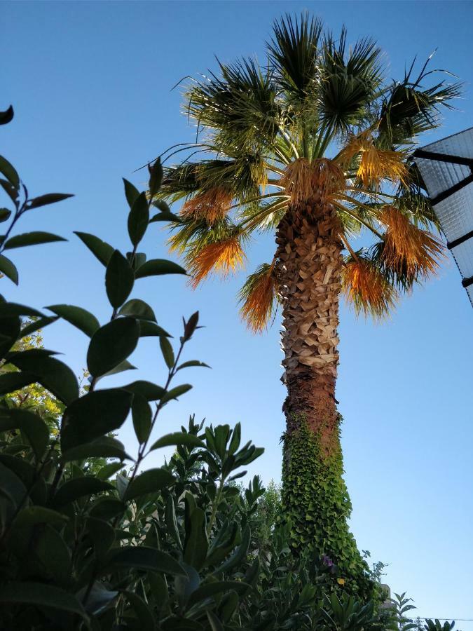La Palmeraie Marseille Exteriér fotografie